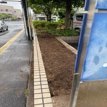 写真:作業後