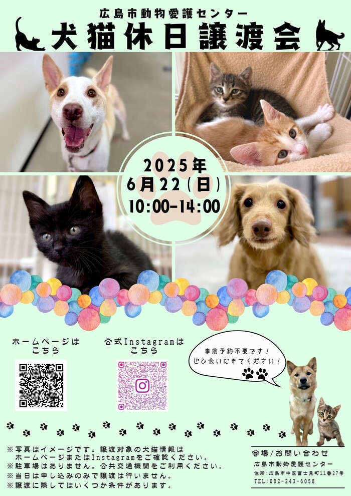 譲渡会チラシ