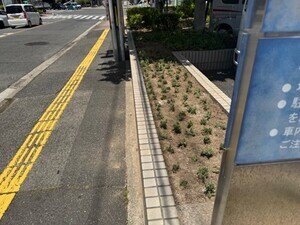 写真：サロン9