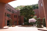 写真：和木町役場　庁舎