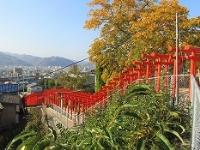 写真：大島神社
