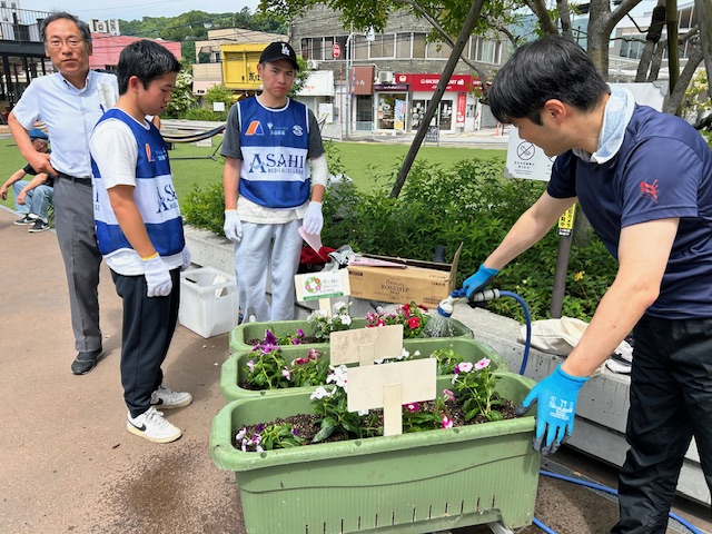 写真：春の植え替え2