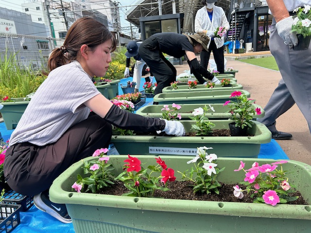 写真：春の植え替え3