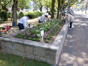 写真：下岸建設株式会社　花の植替え作業の様子1