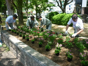 写真：下岸建設株式会社　花の植替え作業の様子2