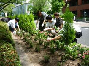写真：広島工業大学専門学校　花の植替え作業の様子1