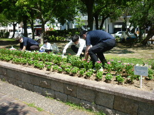 写真：株式会社丸猫　花の植替え作業の様子1