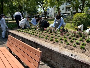 写真：イーイング・コーポレーション株式会社　花の植替え作業の様子1