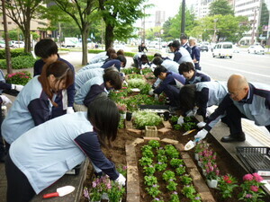 写真：株式会社熊谷組　花の植替え作業の様子1