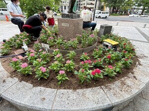 写真：NPO法人セトラひろしま　花の植替え作業の様子1