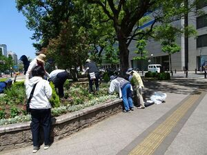 写真：広島木蘭会　花の植替え作業の様子1