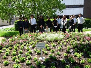 写真：戸田建設株式会社　花の植替え作業の様子2