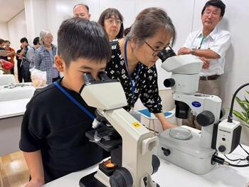 顕微鏡で観察