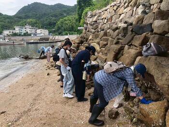 海辺で生物観察をしている様子