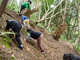 プレーパークの様子