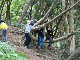 試行実施の様子