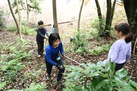 プレーパークの様子