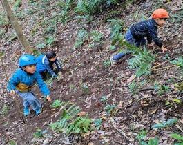 プレーパークの様子