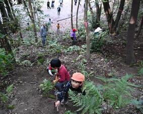 プレーパークの様子