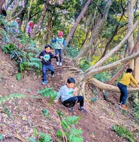 プレーパークの様子