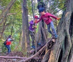 プレーパークの様子