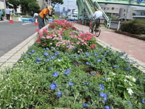 写真：作業風景1
