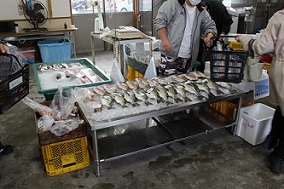 坂町漁協新鮮朝市