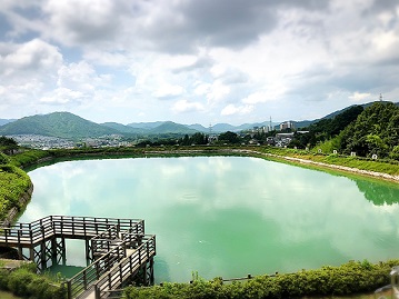 坂面大池