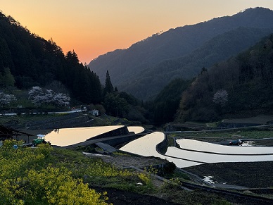 井仁の棚田