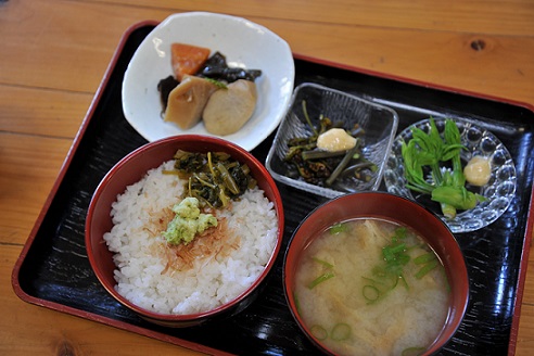わさび丼