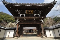 画像：照蓮寺の画像