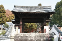 画像：宗光寺の画像