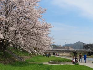 写真：ウオーキングの様子