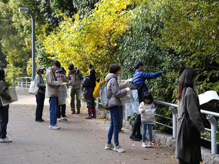 観察の様子