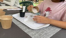 講習会の写真