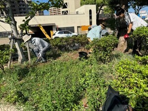 写真:森のガーデン