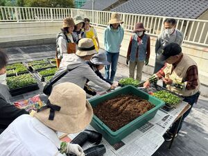 写真:ポット上げ作業中
