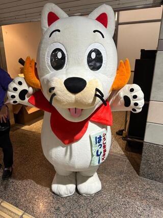 イラスト:はっしー