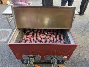 写真：フードドライブの常設