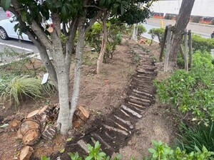 写真：アプローチ