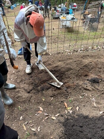 畑を耕している画像