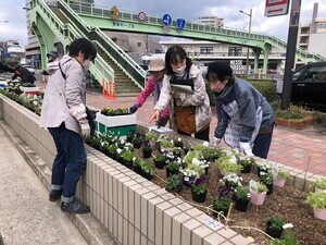 写真:ストリート花壇作業風景2