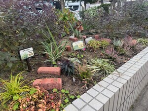 写真:森のガーデン1