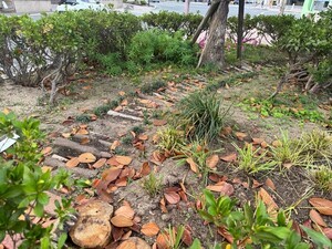 写真:森のガーデン2