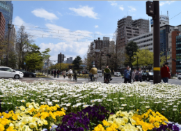 公共花壇の維持管理