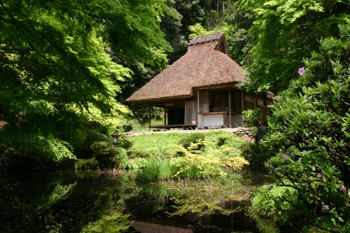 春の吉水園の風景