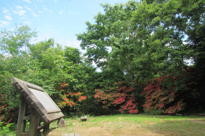 鉾取山憩の森憩の広場