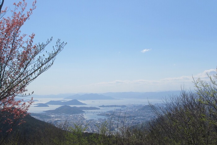 鉾取山憩の森憩の広場