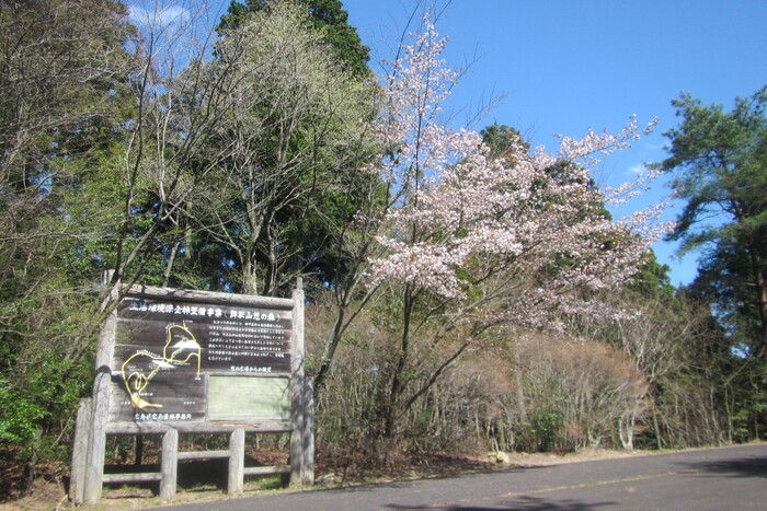 鉾取山憩の森駐車場