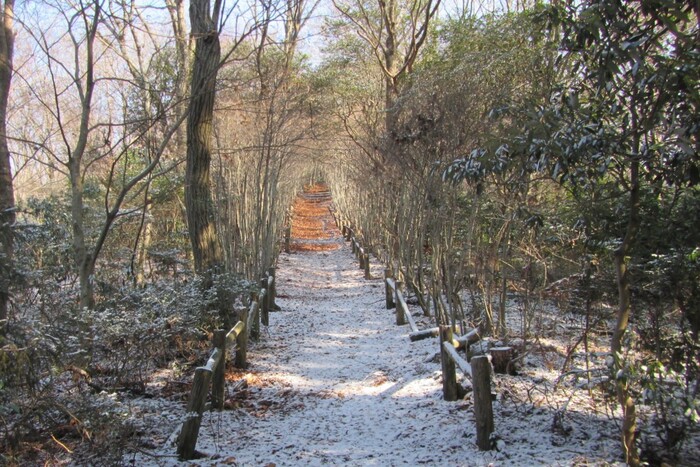 鉾取山憩の森遊歩道